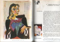 PABLO R. PICASSO. Francisco Ribes y Josefina Escolano. Hernando SA. Madrid 1.977